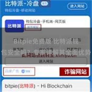 Bitpie免费版 比特派钱包安全吗？专家详解其全面优势