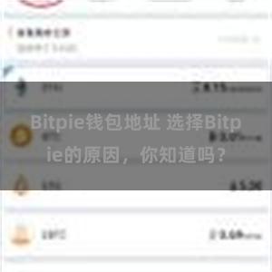 Bitpie钱包地址 选择Bitpie的原因，你知道吗？