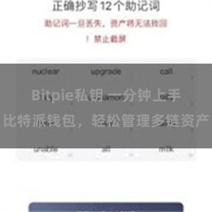 Bitpie私钥 一分钟上手比特派钱包，轻松管理多链资产