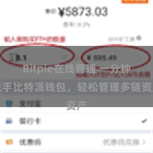 Bitpie在线管理 一分钟上手比特派钱包，轻松管理多链资产