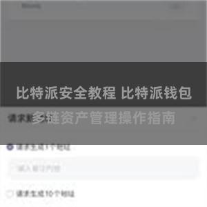 比特派安全教程 比特派钱包多链资产管理操作指南