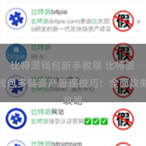 比特派钱包新手教程 比特派钱包多链资产管理技巧：全面攻略