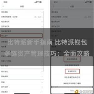 比特派新手指南 比特派钱包多链资产管理技巧：全面攻略