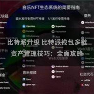 比特派升级 比特派钱包多链资产管理技巧：全面攻略