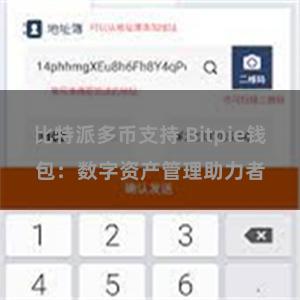 比特派多币支持 Bitpie钱包：数字资产管理助力者