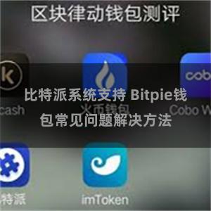 比特派系统支持 Bitpie钱包常见问题解决方法