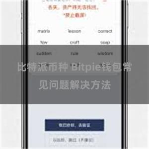 比特派币种 Bitpie钱包常见问题解决方法