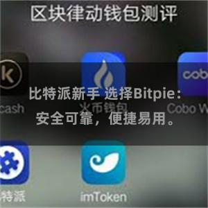 比特派新手 选择Bitpie：安全可靠，便捷易用。