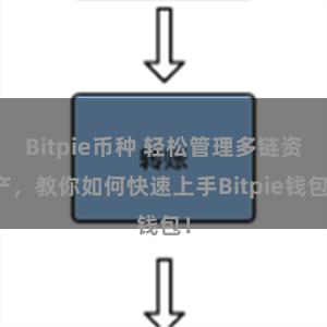 Bitpie币种 轻松管理多链资产，教你如何快速上手Bitpie钱包！