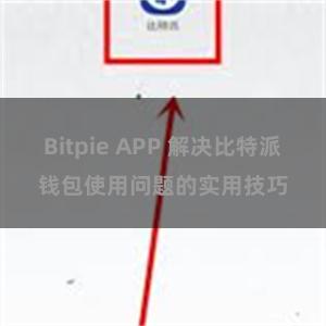 Bitpie APP 解决比特派钱包使用问题的实用技巧