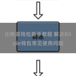 比特派钱包新手教程 解决Bitpie钱包常见使用问题