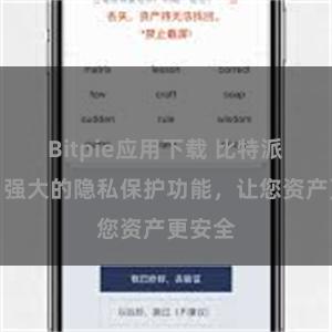 Bitpie应用下载 比特派钱包：强大的隐私保护功能，让您资产更安全