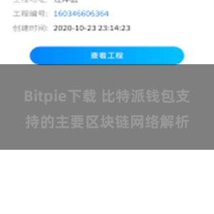 Bitpie下载 比特派钱包支持的主要区块链网络解析