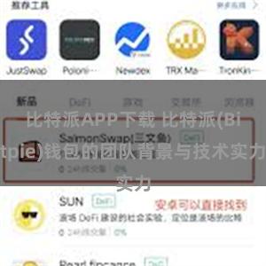 比特派APP下载 比特派(Bitpie)钱包的团队背景与技术实力