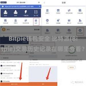 Bitpie钱包安全 比特派(Bitpie)交易历史记录在哪里查看？