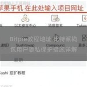 Bitpie教程地址 比特派钱包用户隐私保护措施详解