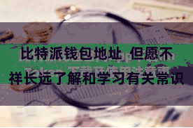 比特派钱包地址  但愿不祥长远了解和学习有关常识