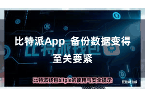 比特派App  备份数据变得至关要紧