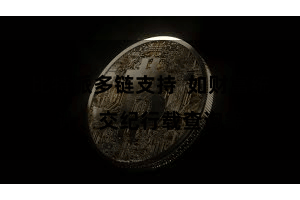 比特派多链支持  如财富统计、交纪行载查询等