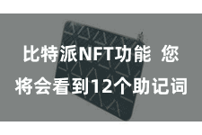 比特派NFT功能  您将会看到12个助记词