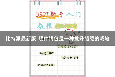 比特派最新版  硬件钱包是一种挑升缱绻的栽培