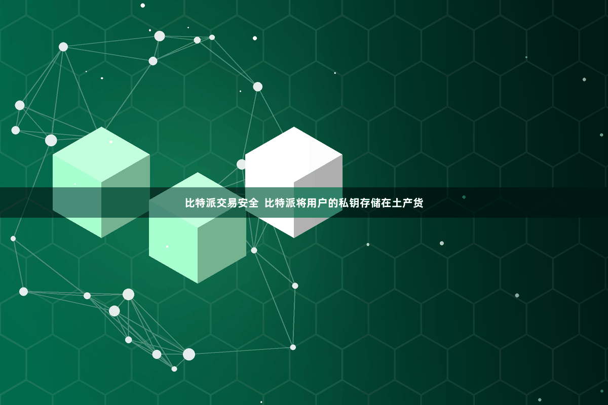 比特派交易安全  比特派将用户的私钥存储在土产货